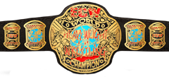 ECW World Champion